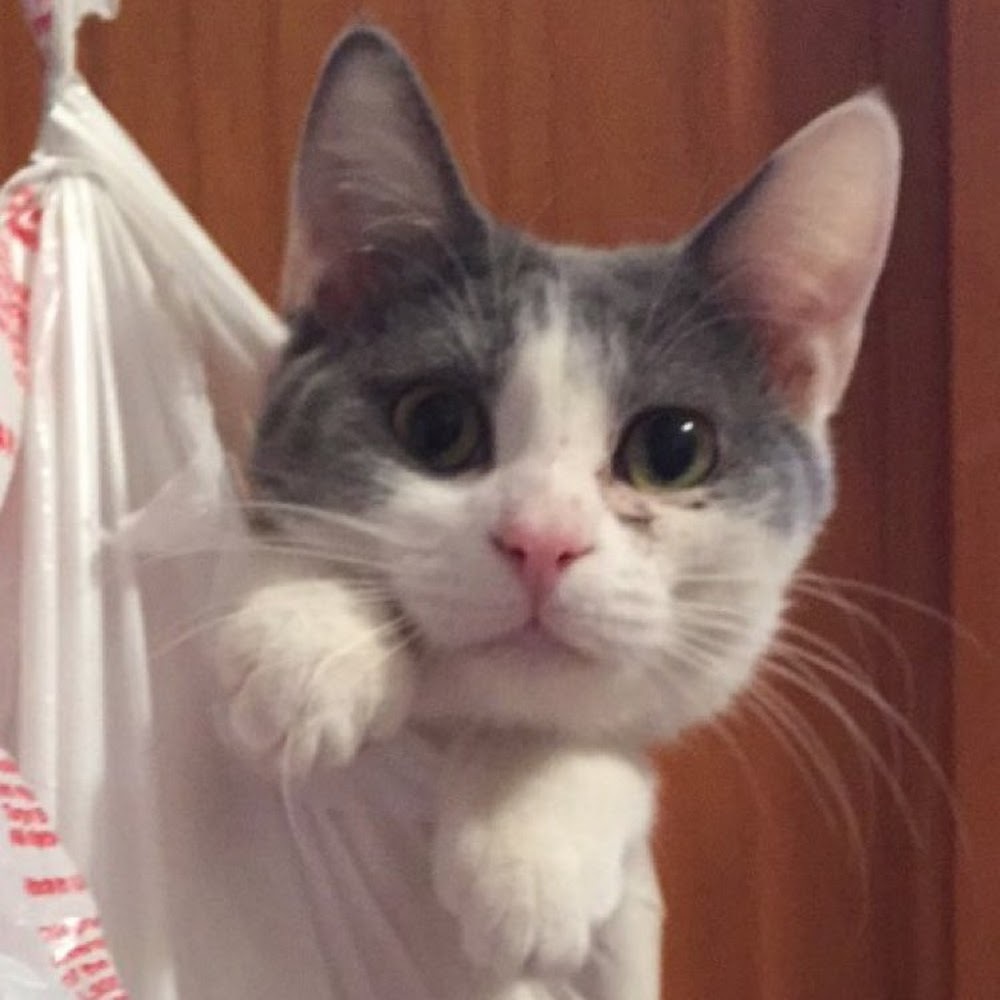 Meet your Posher, Jill